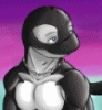crissorca